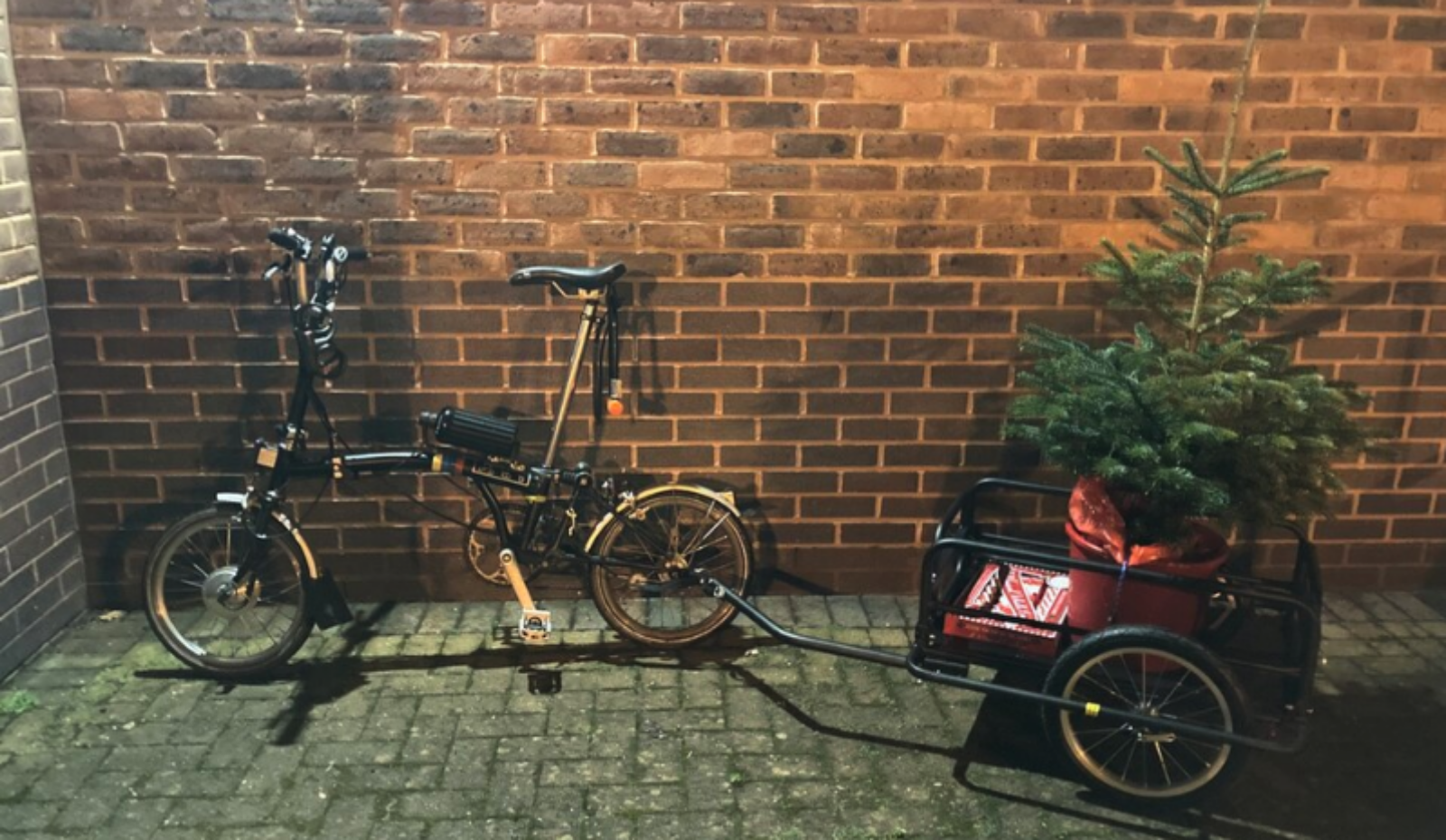 Beeld christmas tree by bike