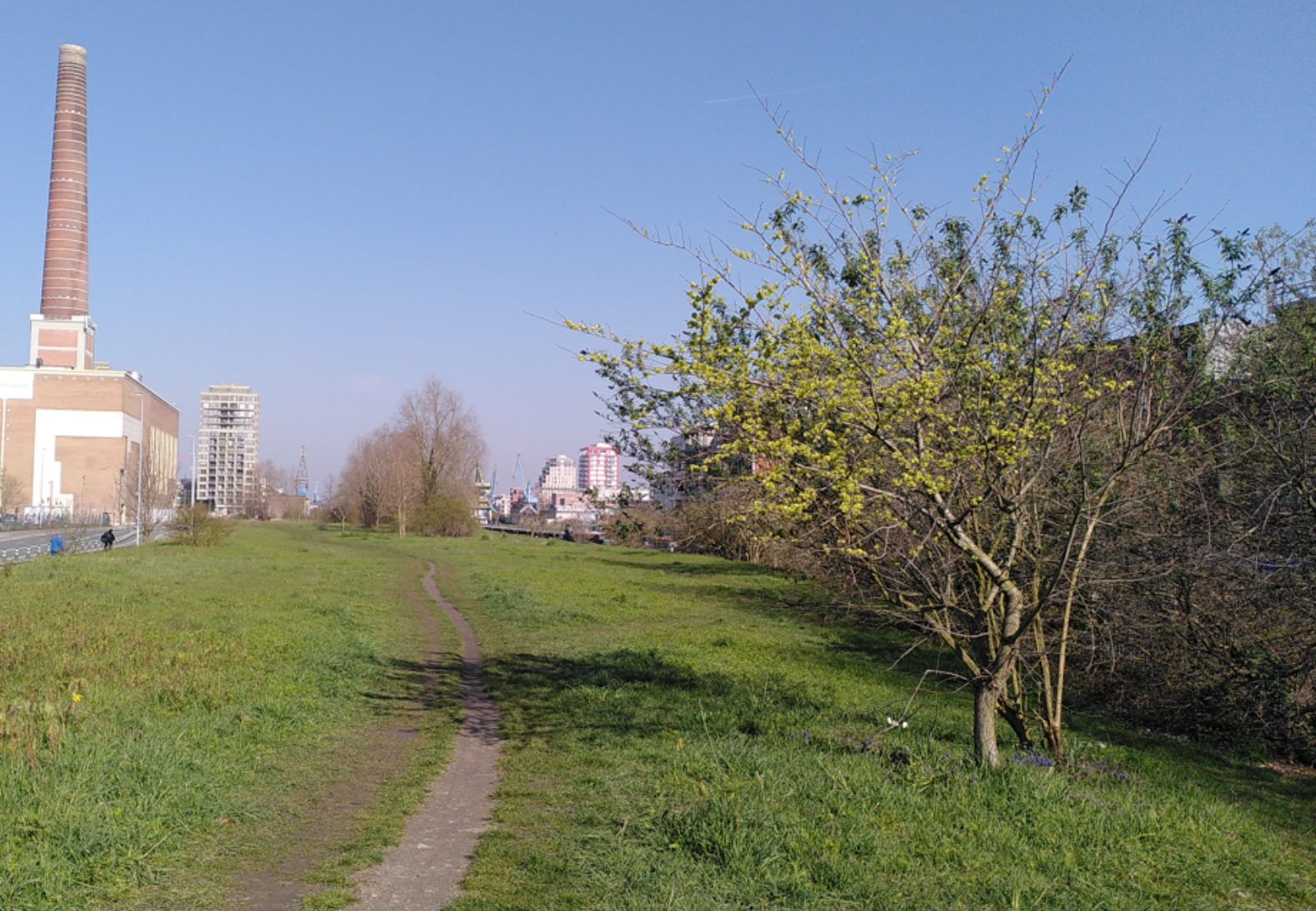 Dok Zuid
