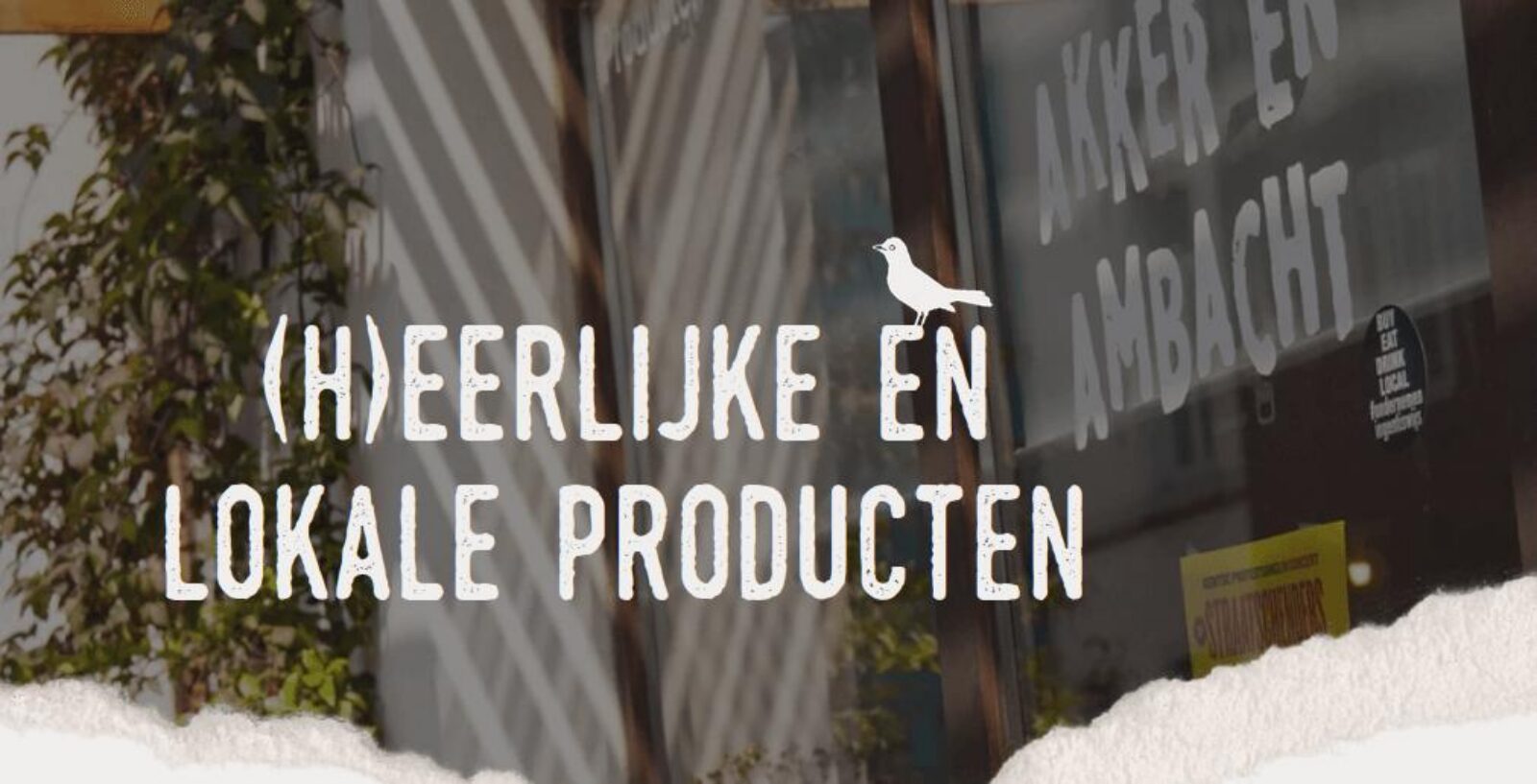 Schermafdruk 2023 04 16 15 55 31
