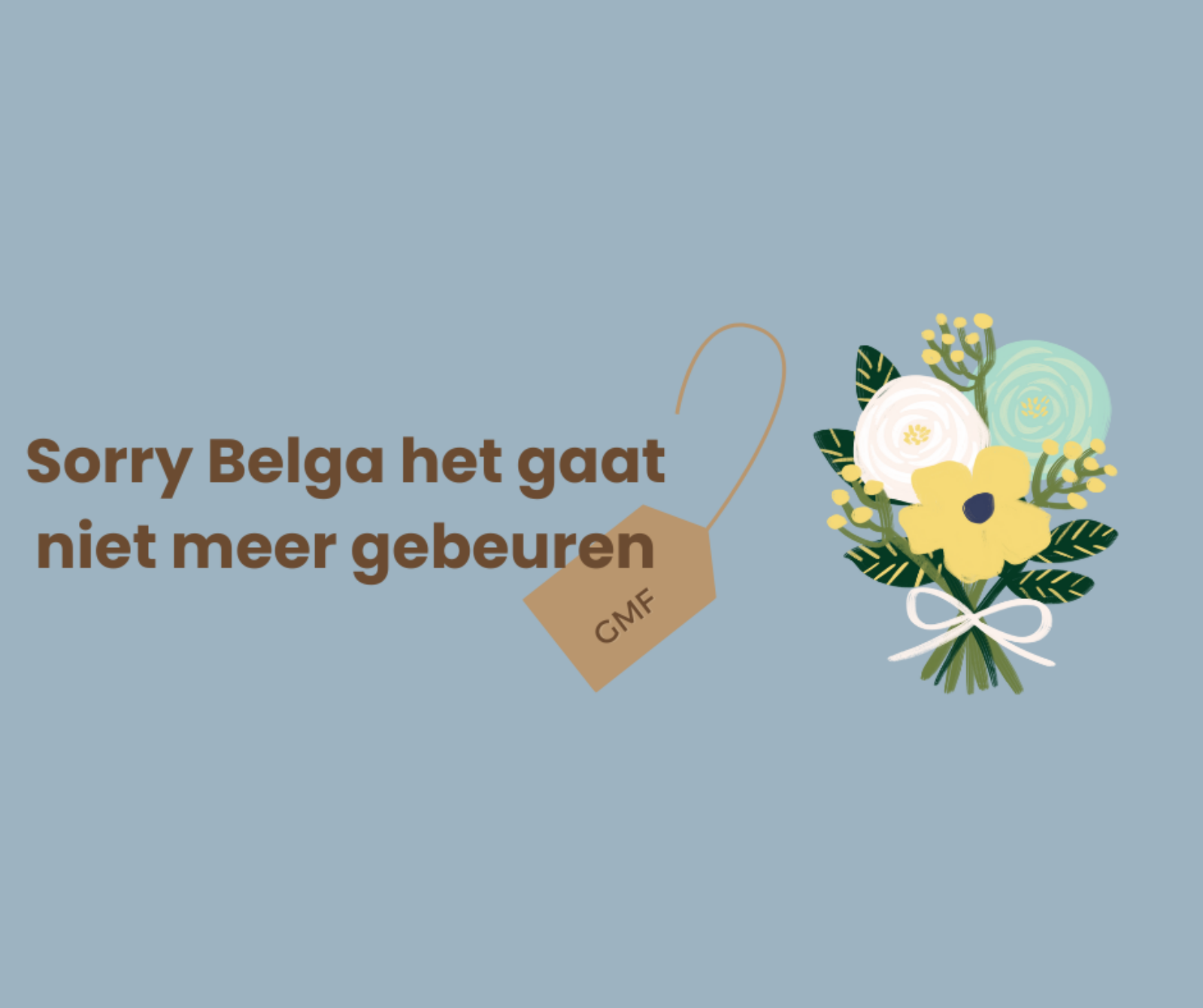 Sorry Belga het gaat niet meer gebeuren