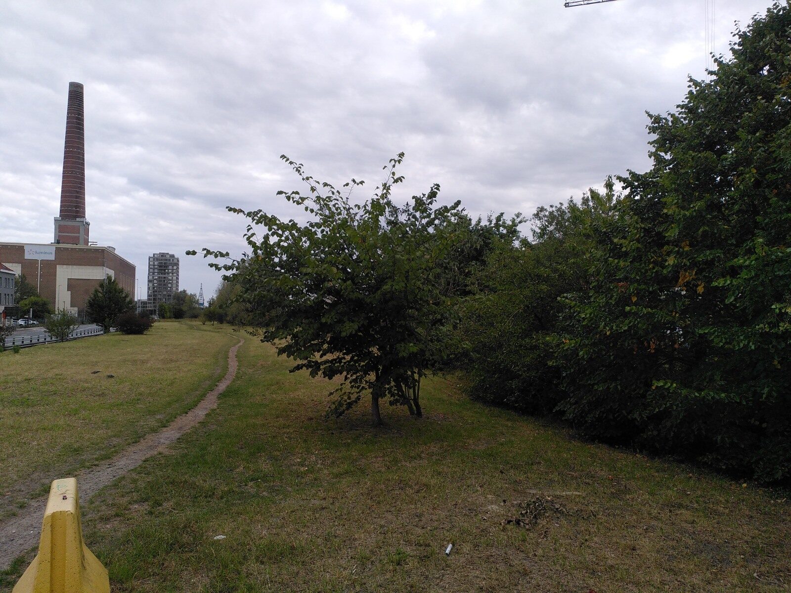 Whats App Image 2025 09 18 at 11 51 56