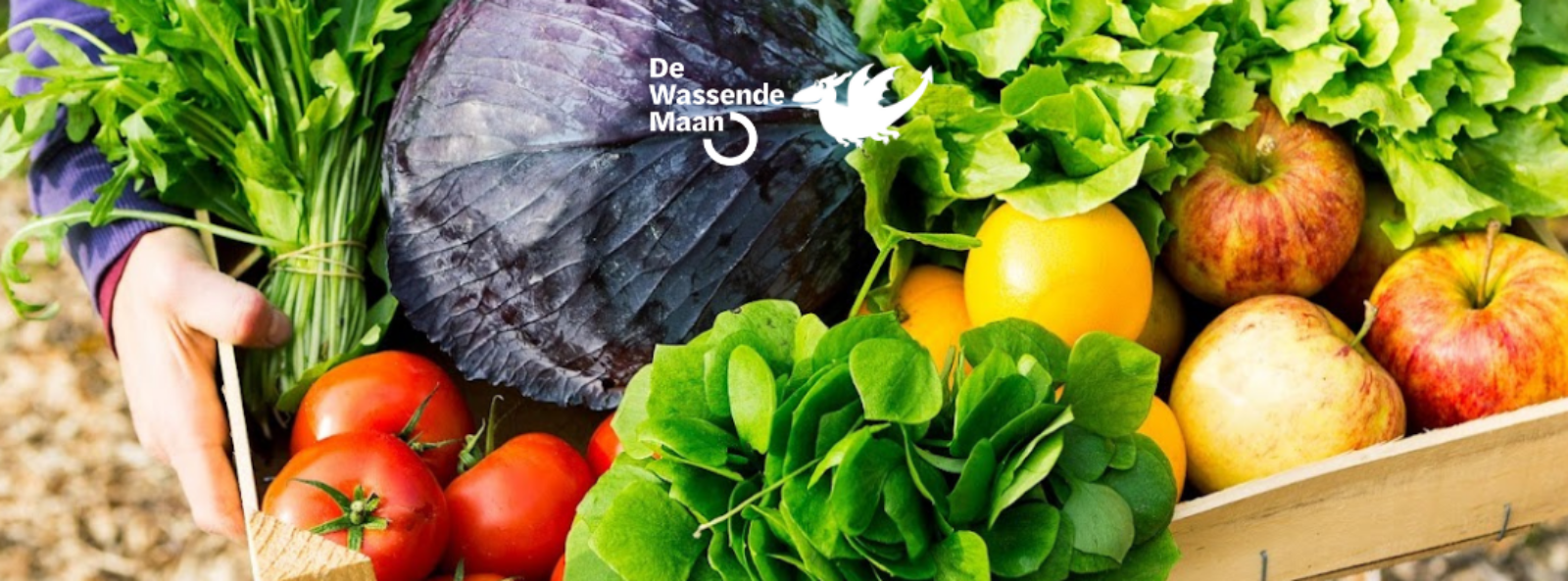 Win 1 jaar lang biologische groente en fruitpakketten van De Wassende maan 2