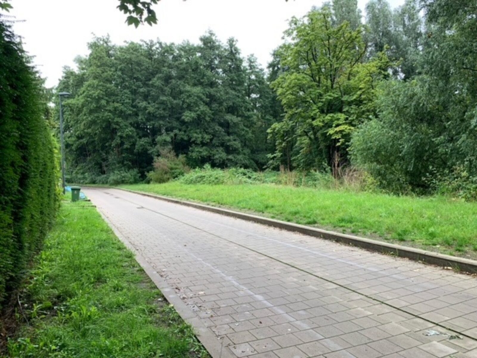 Image1 1