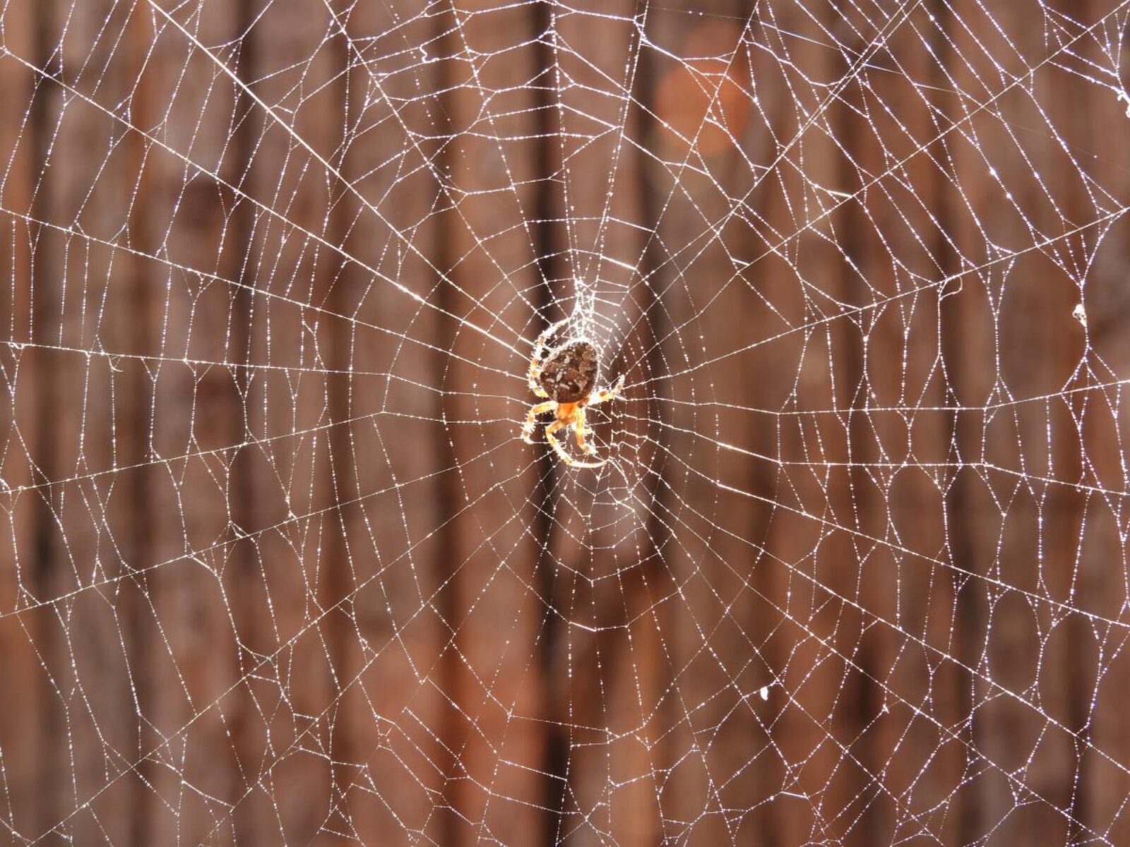 Karin ruigrok van de werve tpxfp FV Ry58 unsplash