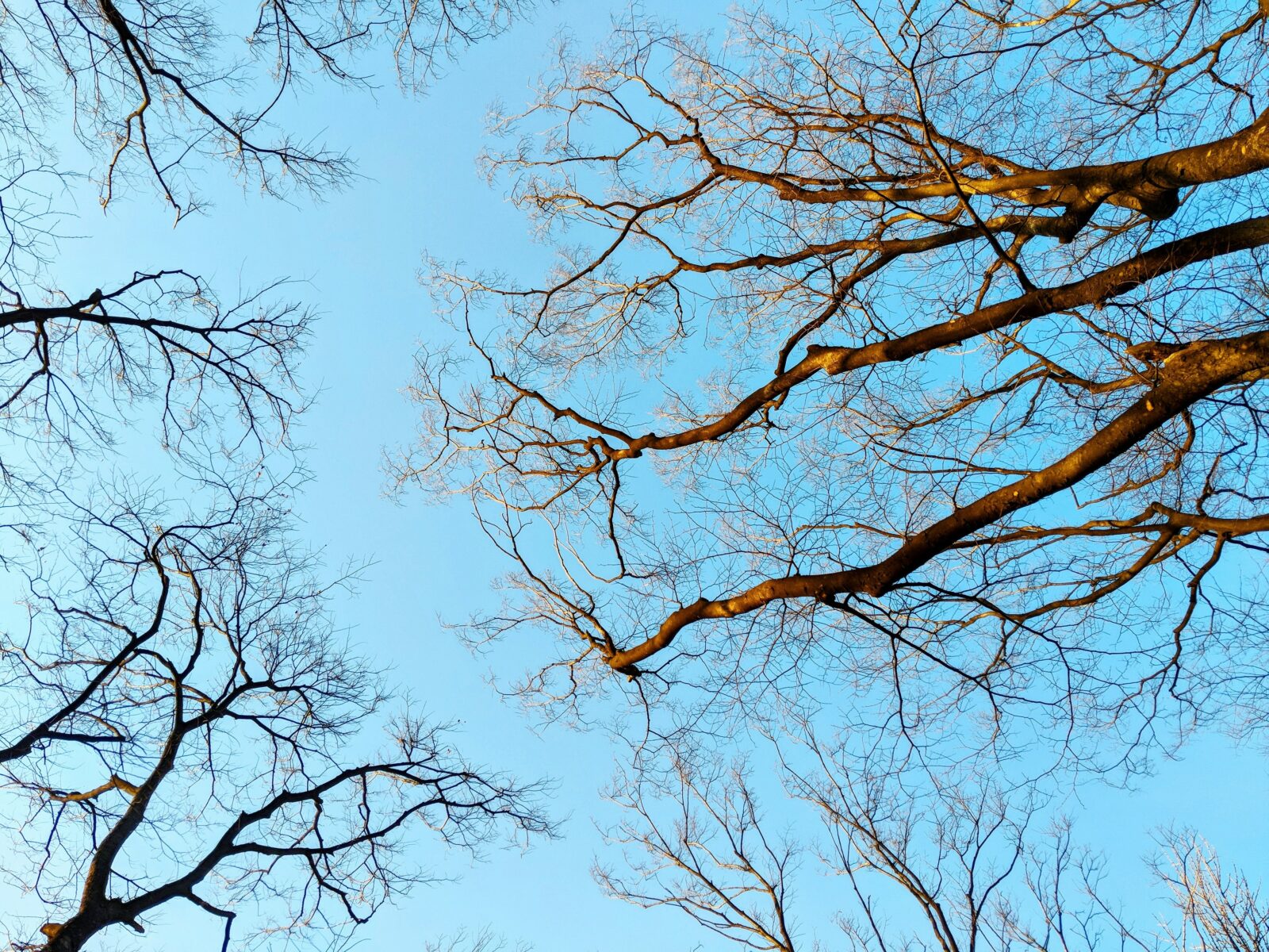 Note thanun Z Ux R9j Fvw GY unsplash