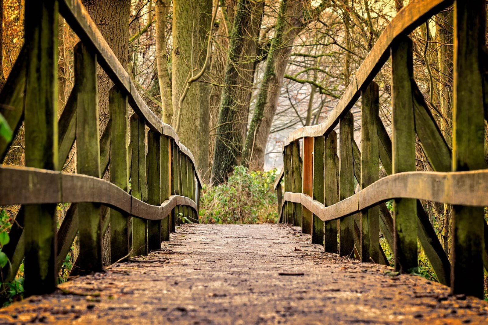 Pixabay tama66bridge 3024773 1280