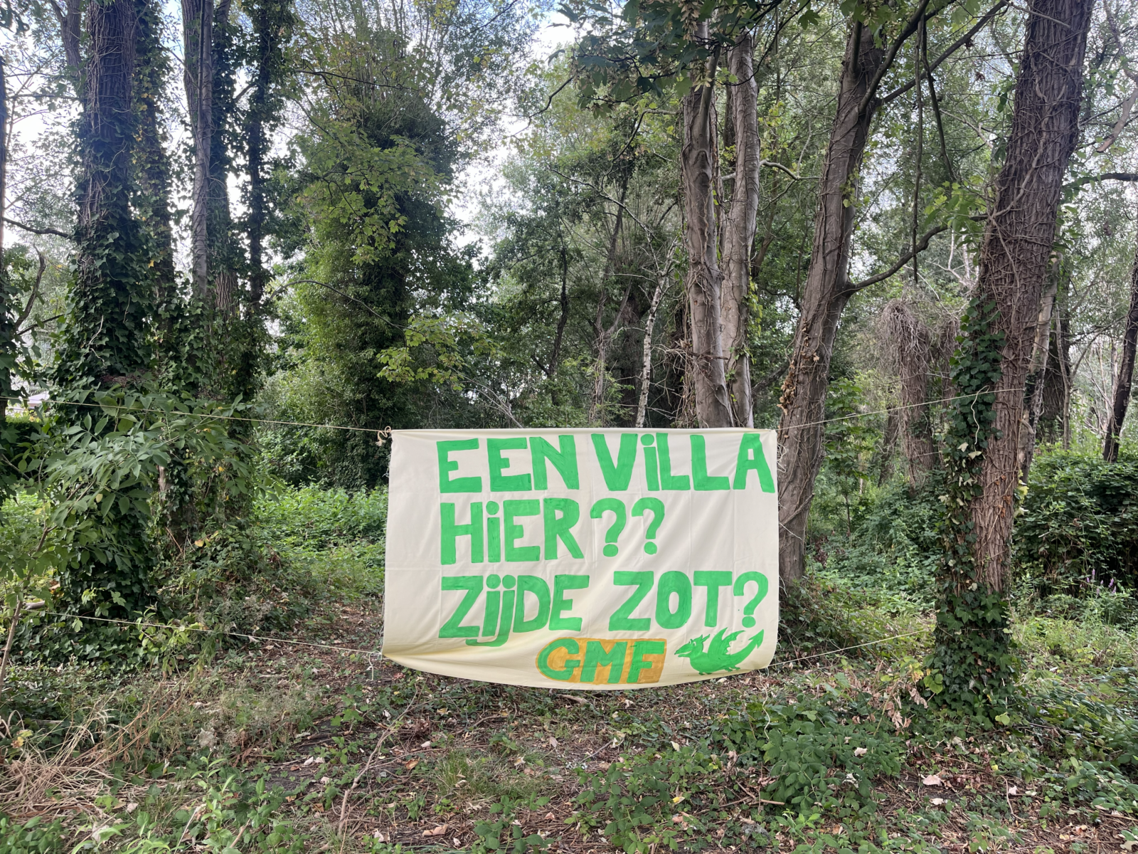 Spandoek GMF