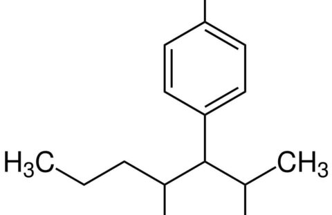 1b61b449206bee159b838ef0eb1537ef