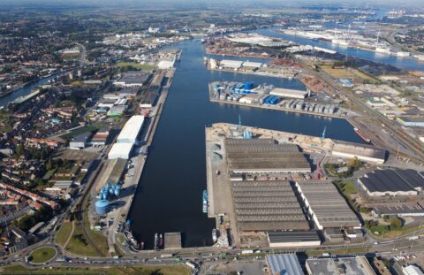 Haven DT002666