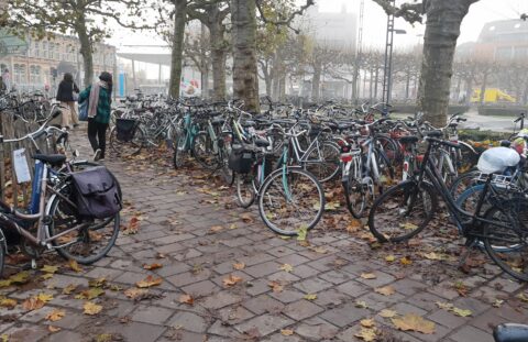 IMG 20221210 095639130
