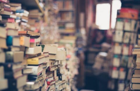 Pixabay elifrances books 1163695 1280