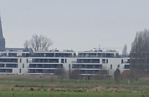 Scheldedijk