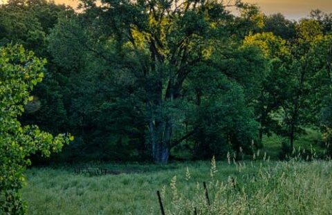 Pexels tom fisk photo 8985374