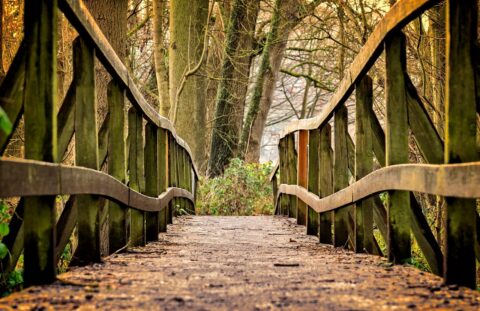 Pixabay tama66bridge 3024773 1280