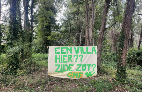 Spandoek GMF
