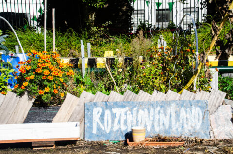 Groene Doeners Festival 35