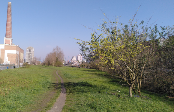 Dok Zuid