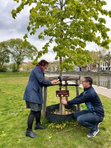 Aanplant toekomstboom 